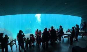 Klikk for stort bilde